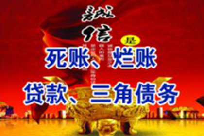 欠款人追偿：律师诉讼策略解析